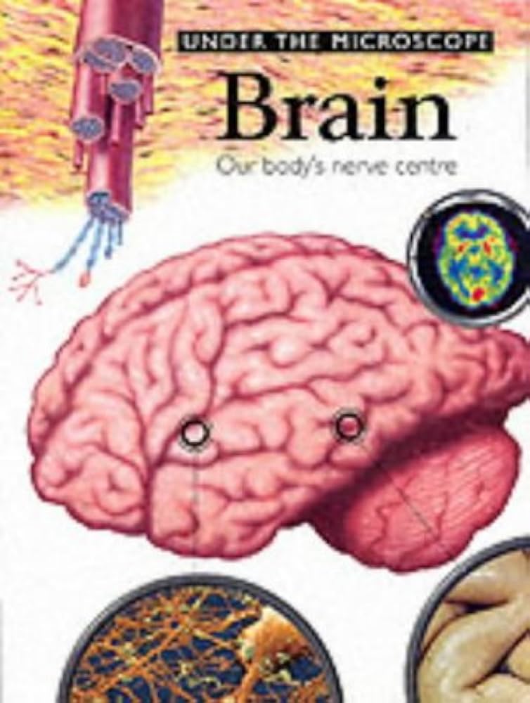 Under The Microscope: Brain