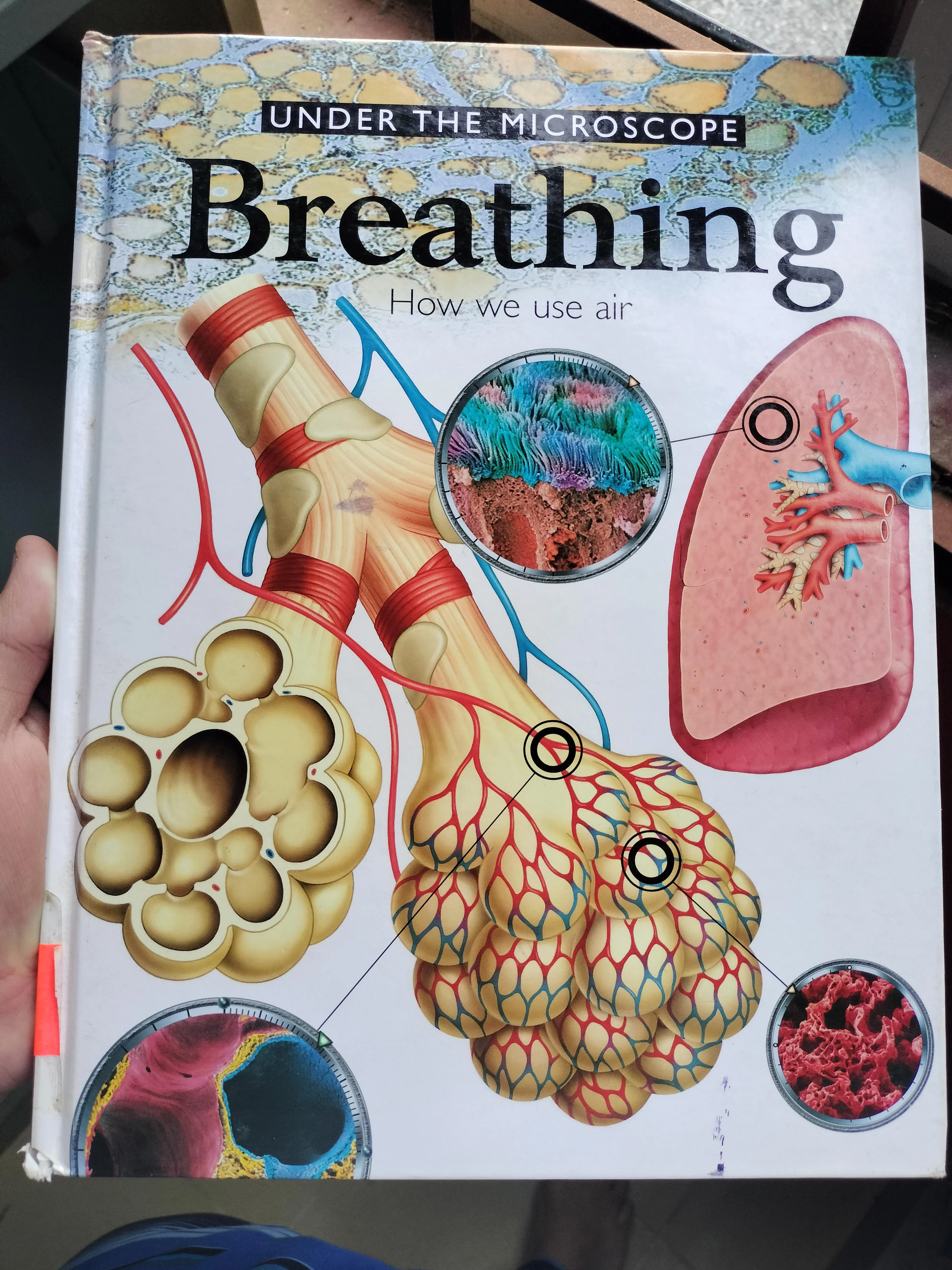 Under The Microscope: breathing