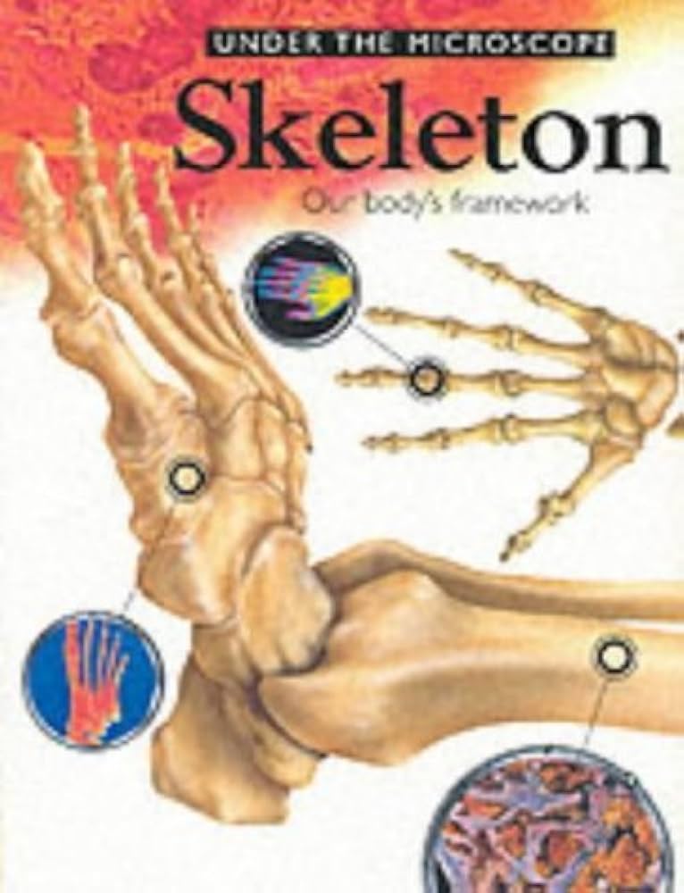 Under The Microscope: Skeleton