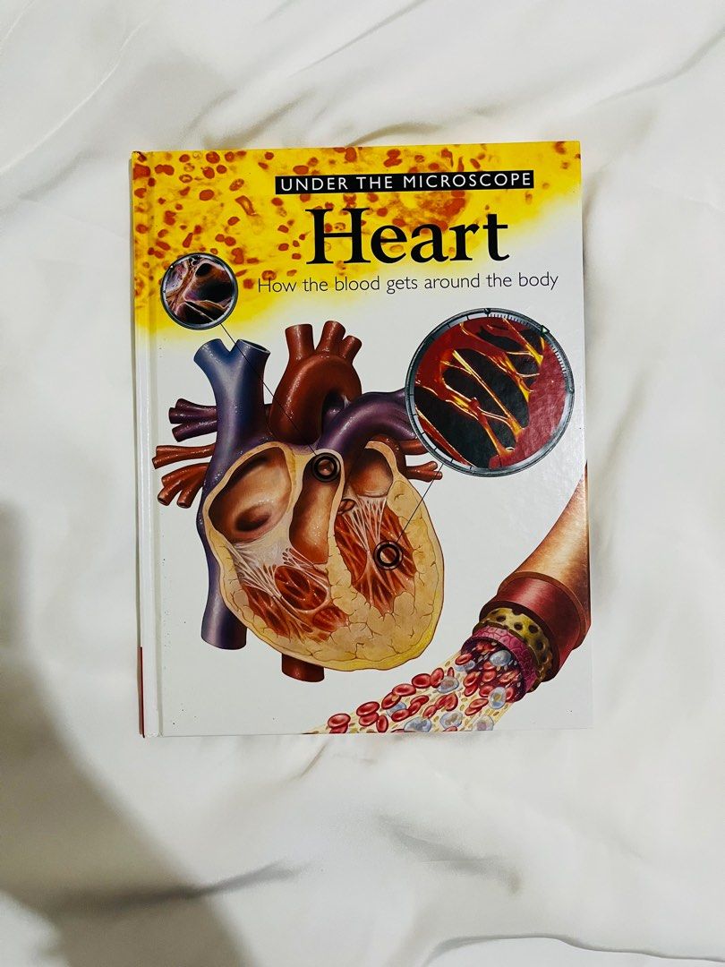Under The Microscope: Heart